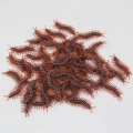 PACK Of 8 Artificial Cockroach Models Simulated Animal Halloween Party Trick Toys. 