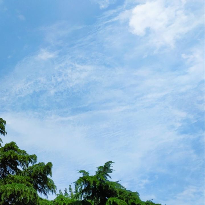 Cute%20computer%20elevated%20desk%20storage%20box%20artifact%20desktop%20monitor%20dormitory%20desk%20notebook%20rack%20-%20Image%206