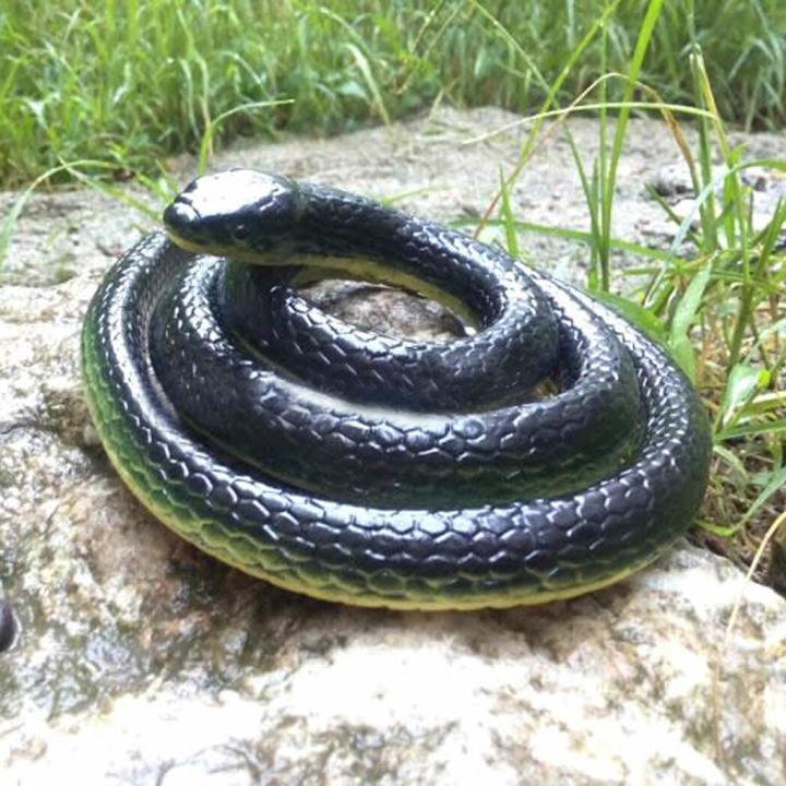 Realistic%20Fake%20Rubber%20Toy%20Snake%20Black%20Fake%20Snakes%2049%20Inch%20Long%20April%20Fool's%20Day%20-%20Image%205