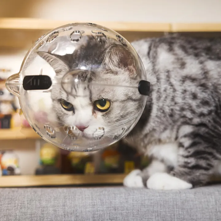 GC%20Pet%20Transparent%20Head%20Protective%20Space%20Ball%20Breathable%20Anti-bite%20Anti-Licking%20Cute%20Cat%20Ear%20Design%20Recovery%20Helmet%20-%20Image%207