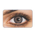 Freshlook Grey contact lens.