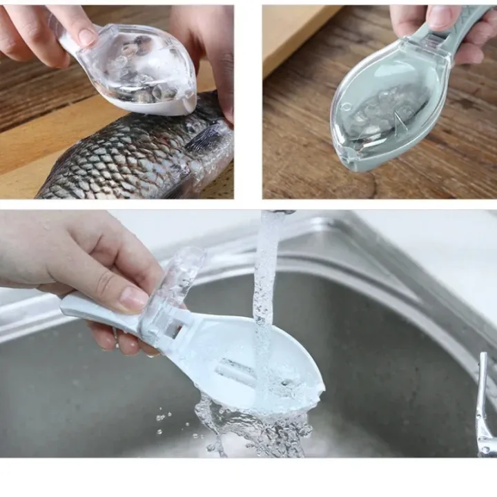 1%20pisFish%20Skin%20Brush%20Scraping%20Kitchen%20Fish%20Scale%20Cleaner%20Fast%20Remove%20Fish%20Knife%20Cleaning%20Peeler%20Scaler%20Scraper%20Kitchen%20Tool_Jess%20Gadget%20-%20Image%203