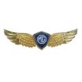 3D metal sign car hood angel emblem sticker fot MG ZS HS MG6 MG5 MG3 MG RX5 RX8 For MG,Car hood angel sticker. 