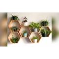 Hexagonal Wall Shelves.