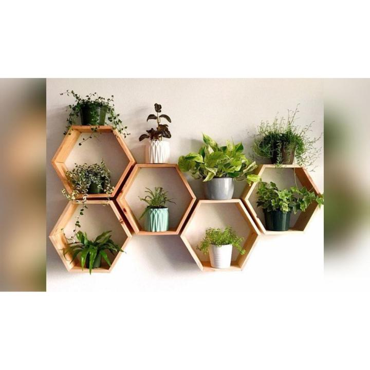 Hexagonal Wall Shelves