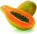 All Season Organic Bonsai Papaya Fruit Seeds- 10 Pcs Seeds. 