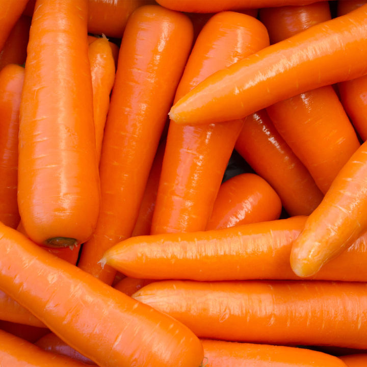 Hybrid%20Carrot%20/%20Gajor%20(Repack)-%2050%20Seeds%20-%20Image%203