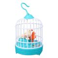 Original Rechargeable Talking and Singing Baby Birds Toys (Imported from China). 