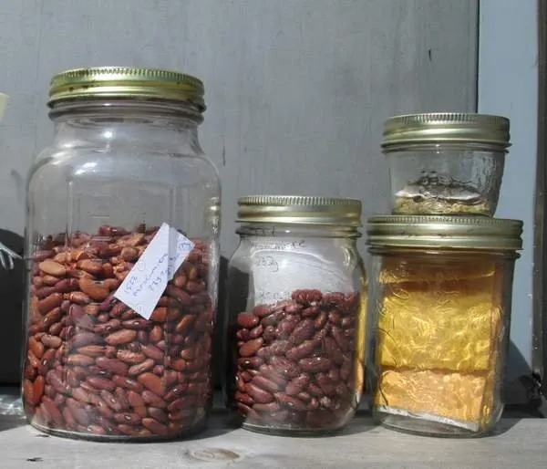 1.00%20Gram%20Silica%20Gel%20200%20Pcs%20(Zip%20Lock%20Pack),%20Transparent%20Desiccant,%20Desiccant%20Packets%20for%20Storage,%20Moisture%20Packs%20for%20Camera%20box,%20Spices%20Jewelry%20Shoes%20Boxes%20Electronics%20Storage,%20Food%20Safe%20-%20Image%204