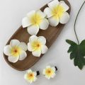 Women Plumeria Flower Hair Clips Girls Aesthetic Hairpins Egg Flower Barrette Hawaiian Wedding Party Bag Hair Accessories 2024. 