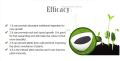 Seaweed extract powder Agriculture organic rooting sargassum  50g(Re pack). 