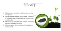 Seaweed extract powder organic sargassum 100g(Re pack). 