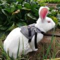 Soft Rabbit Breathable Harness with Leash Gentlemanly Style.