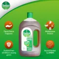 Dettol Antiseptic Disinfectant Liquid 750ml for First Aid, Medical & Personal Hygiene- use diluted. 