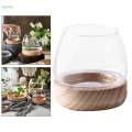 Glass Planter Plant Propagating Jar Desktop Planter for Home Indoor Garden Small. 
