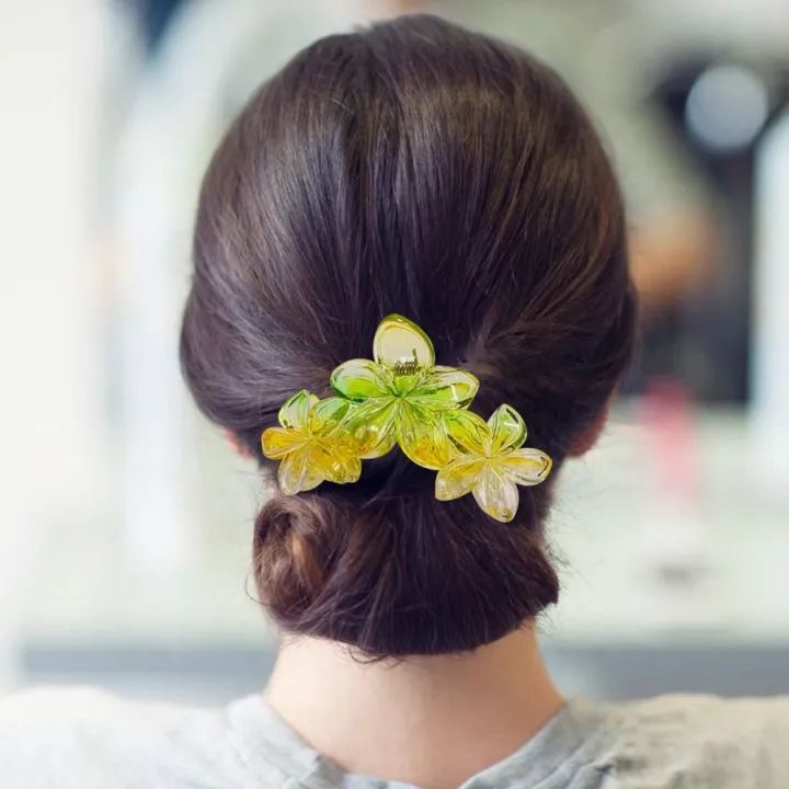 New%20Gradient%20Color%20Egg%20Flower%20Hair%20Clip%20Simple%20Style%20Transparent%20Flower%20Shape%20Claw%20Clip%20Hair%20Accessories%20Headwear%20Ponytail%20Hairpin%20-%20Image%205