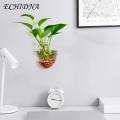Exceotional Quality - ECHIDNA Flower Planter Pot Water Drop Wall Hanging Glass Flower Vase - Sustainable Option - Expression of Yourself.