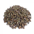 Felon Lentil/ Felon Dal/ Helon Dal- 500 gm. 