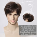 ALAN EATON Men's Dark Brown Synthetic Wig Natural Short Layered Wig Pixie Cut Hair Heat Resistant Fiber Fluffy Full Wig for Male. 