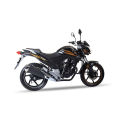 Runner Bike / Motorcycle Knight Rider V1  150cc. 
