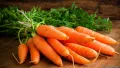 গাজর/ Carrot Seed - 50/100 pcs Seed - (বারমাস চাষ যোগ্য হাইব্রিড গাজরের বীজ ).
