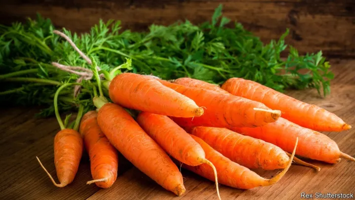 %E0%A6%97%E0%A6%BE%E0%A6%9C%E0%A6%B0/%20Carrot%20Seed%20-%20%2050/100%20pcs%20Seed%20-%20(%E0%A6%AC%E0%A6%BE%E0%A6%B0%E0%A6%AE%E0%A6%BE%E0%A6%B8%20%E0%A6%9A%E0%A6%BE%E0%A6%B7%20%E0%A6%AF%E0%A7%8B%E0%A6%97%E0%A7%8D%E0%A6%AF%20%E0%A6%B9%E0%A6%BE%E0%A6%87%E0%A6%AC%E0%A7%8D%E0%A6%B0%E0%A6%BF%E0%A6%A1%20%E0%A6%97%E0%A6%BE%E0%A6%9C%E0%A6%B0%E0%A7%87%E0%A6%B0%20%20%E0%A6%AC%E0%A7%80%E0%A6%9C%20%20)%20-%20Image%205