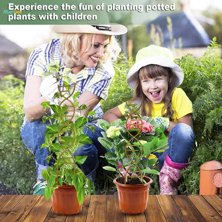 Plant%20Trellis%20Decorative%20Plant%20Cages%20Garden%20Trellis%20Flower%20Pots%20Support%20for%20Vegetables%20Vines%20-%20Image%205