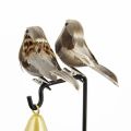 Demon Slayer Agatsuma Zenitsu Cosplay Headwear Hair Clip Artificial Birds Foam Animal Simulation Feather Birds Costume Prop. 