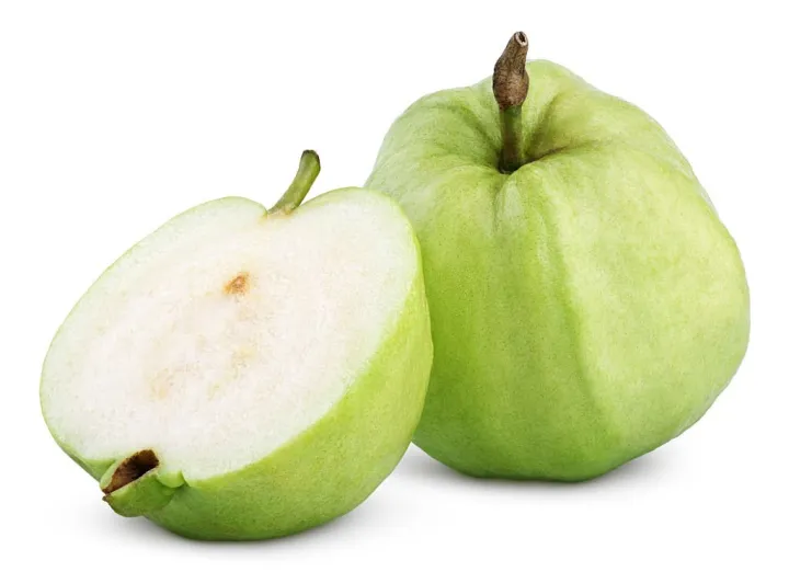 Indispensable%20-%20Hybrid%20Guava%20(pear)%20Fruit%20Seeds%20-%2020%20Pieces.%20Barisailla%20kaji%20peyara%20bij.%20-%20Tools,%20DIY%20&%20Outdoor%20-%20Modern%20and%20Trendy%20-%20Image%207