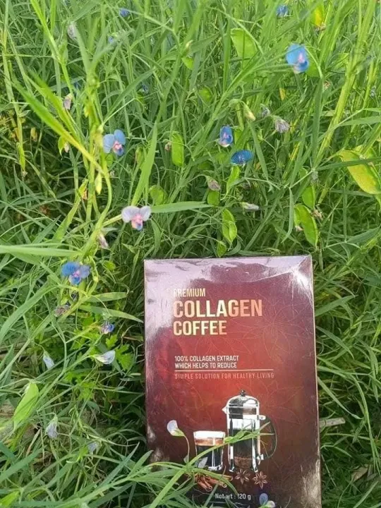 premium%20Collagen%20coffee%20slimming%20coffee%20FishCollagen%20to%20help%20the%20skin%20to%20be%20clear,%20reduce%20wrinkles%20andtighten%20the%20body%20with%20proportions%20from%20variousminerals.%20-%20Image%202