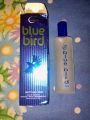 Blue Bird Intense Perfume for Men & Women 100ml. 