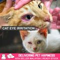 CATEYE Ubat Sakit Mata untuk Anak Kucing Cat Eye Drop Ubat Mata Kucing Bengkak 猫咪眼药水 Ubat Titis Mata Kucing Berair yang Mujarab Terbaik. 