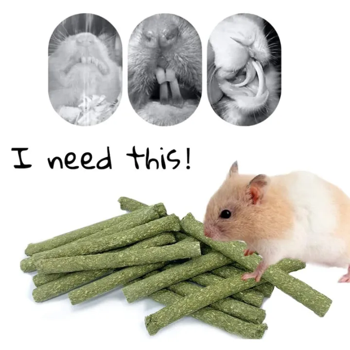 40%20PCS%20Natural%20Mixed%20Grass%20Stick%20Chinchilla%20Chew%20Toys%20for%20Guinea%20Pig%20Rabbit%20Gerbil%20Parrot%20Bunny%20and%20Other%20Small%20Animals%20-%20Image%203
