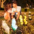 Migeet Outdoor LEDs Path Lamp Solar Garden Stake Lights Garden Solar Powered Flower Decorative Lights.