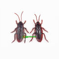 3 pcs x Australian Simulation Plastic Cockroach Toy Realistic Prank Funny Trick Insect Toys. 