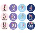12PCS/Set Month Sticker Baby Photography Milestone Memorial Monthly born Commemorative Card Number Photo Props.