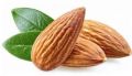 Almond Nut-Kath Badam-100Gm - Badam. 