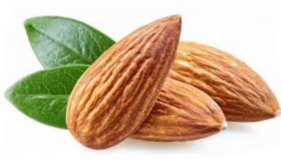 Almond%20Nut-Kath%20Badam-100Gm%20-%20Badam%20-%20Image%205