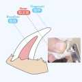 Pet Dog Cat Paw Nail Clippers Scissors Nail File Pet Nail Clippers with Safety Lock. 