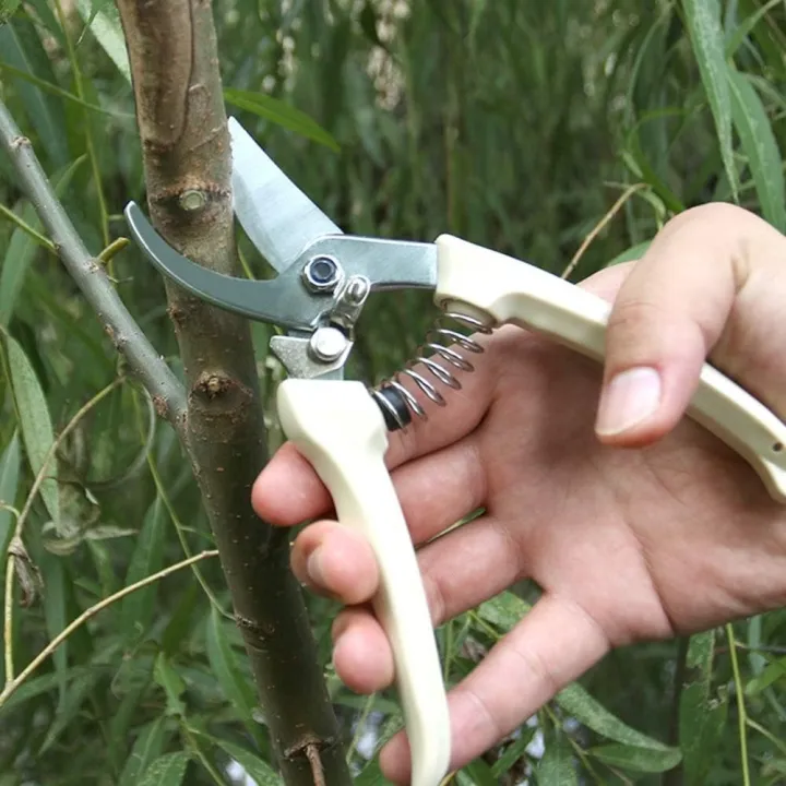 Stainless%20Steel%20Garden%20Pruning%20Shears%20Sharp%20Blade%20Garden%20Shears%20for%20Cutting%20Flowers%20Trimming%20Plants%20of%20Yard%20Florist%20Flower%20Rose%20Herb%20Hedge%20Bonsai%20and%20Fruits%20Picking%20-%20Image%207