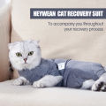 GC Pet Cat Shedding Suit Full Coverage Pet Recovery Bodysuit After Surgery Alternative Anxiety Calming Shirt. 
