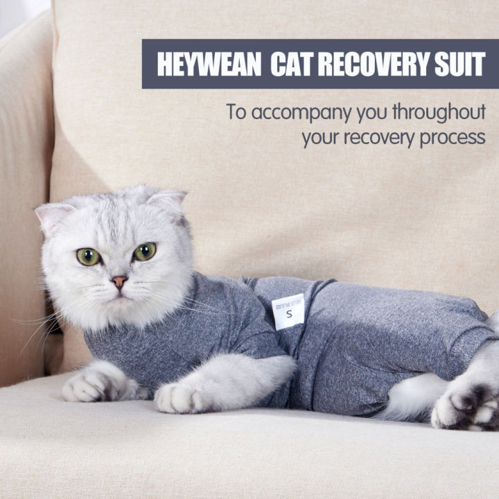 GC%20Pet%20Cat%20Shedding%20Suit%20Full%20Coverage%20Pet%20Recovery%20Bodysuit%20After%20Surgery%20Alternative%20Anxiety%20Calming%20Shirt%20-%20Image%209