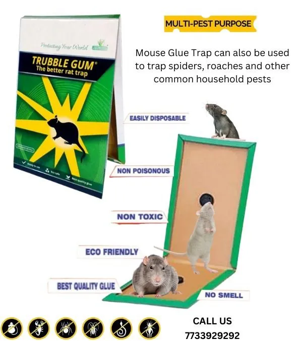China%20rat%20eighteen%20traps%20mouse%20and%20rat%20eighteen%20traps-1%20pice%20-%20Great%20to%20Have%20-%20Image%206