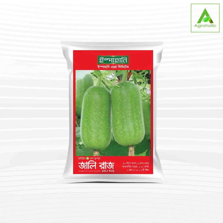 Hybrid (F1) Ash Gourd Seed (চাল কুমড়া) Jali Raj (Mini Intact Packet ...