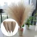 3Pcs Dried Pampas Grass Flower Arrangement Phragmites Reed Flower for Wedding Farmhouse Decor. 