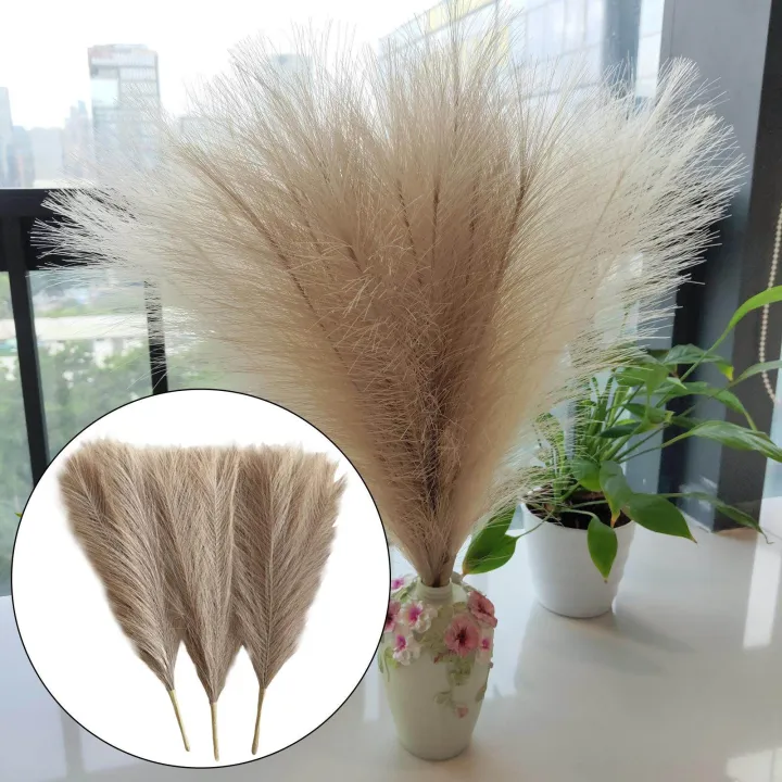 3Pcs%20Dried%20Pampas%20Grass%20Flower%20Arrangement%20Phragmites%20Reed%20Flower%20for%20Wedding%20Farmhouse%20Decor%20-%20Image%207