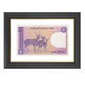 Different Banknote Frame Collection (Choose Your Frame from color family). 