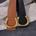 Punk Vintage Big Buckle Belts For Women New Design Black Waistbands Dress Lady Fashion Brown Wide PU Leather Waist Strap Coat. 