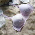 LeeWear China Jaiaini Wire-Free Padded Sexy Girl Perfect shape Lingerie Supportive Bra BR21129. 