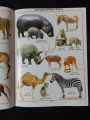 KIDS 1000 WORDS IN PICTURES Book. 